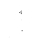 Logo Safinel